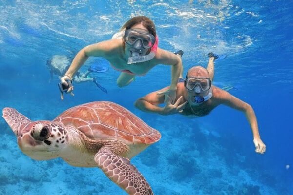 Tanjung Benoa Snorkeling